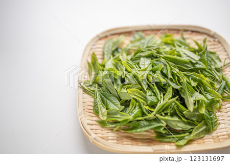 日本茶の代名詞やぶきた茶の新茶 123131697