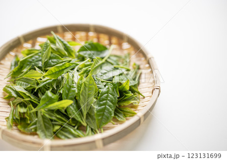 日本茶の代名詞やぶきた茶の新茶 123131699