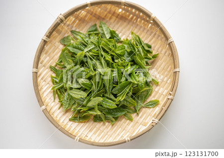 日本茶の代名詞やぶきた茶の新茶 123131700