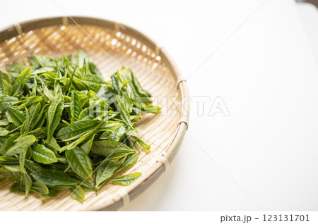 日本茶の代名詞やぶきた茶の新茶 123131701