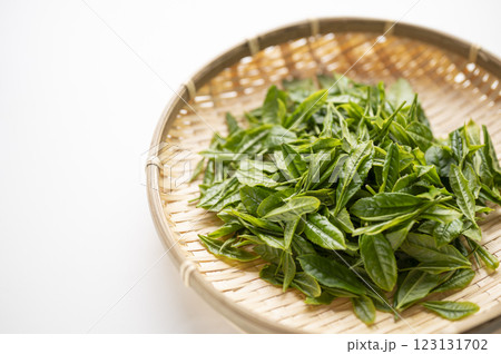 日本茶の代名詞やぶきた茶の新茶 日本茶の代名詞やぶきた茶の新茶 123131702