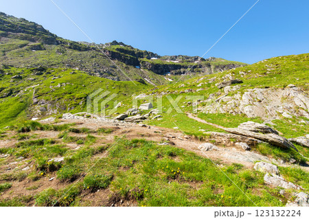 green mountain landscape of romania. highland on a sunny morning. fagaras ridge outdoor nature scenery. vacation destination with green hills 123132224