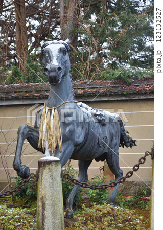 粟田神社の御神馬 粟田神社の御神馬 123132527