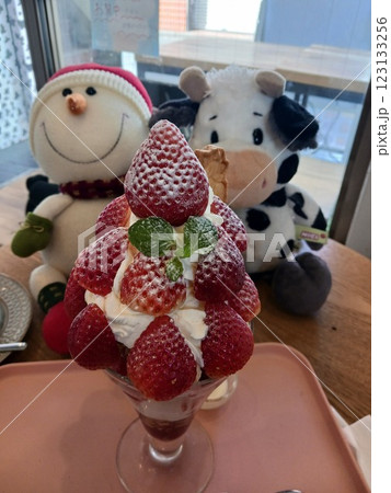 「豪華いちごパフェと可愛いぬいぐるみたち｜スイーツ好き必見！」 123133256