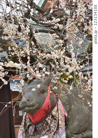 北野天満宮の御神牛と梅 123134188