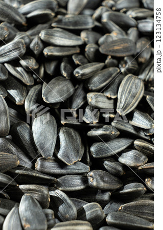 Macro Black Unpeeled Sunflower Seedsの写真素材 [123134758] - PIXTA