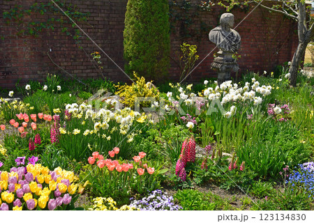 煉瓦の壁と色とりどりのチューリップと赤い花 煉瓦の壁と色とりどりのチューリップと赤い花 123134830
