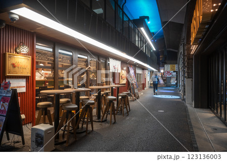 新橋-有楽町　ガード下（銀座裏コリドー通り） 123136003