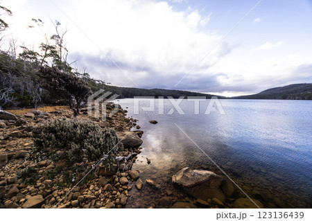 Lake Fenton in Mt Field National Park Tasmania Australia 123136439