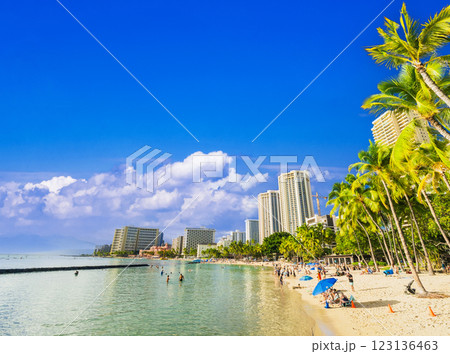 ハワイ　ワイキキビーチ 123136463