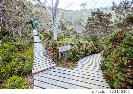 Lake Dobson in Mt Field National Park Tasmania Australia Lake Dobson in Mt Field National Park Tasmania Australia 123136500