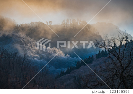 放射冷却が始まり、山の木々に霧氷が纏う瞬間【長野県】 123136595