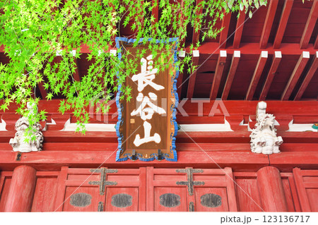 本土寺　仁王門　（千葉県松戸市） 123136717