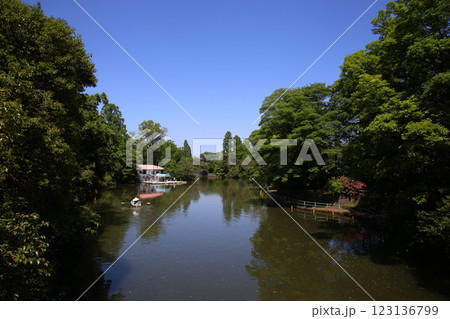 武蔵関公園 123136799