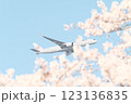 桜の上空を飛ぶ飛行機 – 春と旅の瞬間 123136835