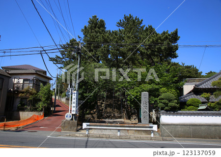 山野浅間神社  123137059