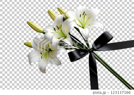 PNG Illustration lilies ribbon black.  123137166