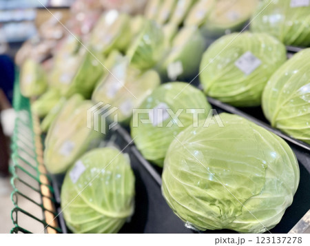 スーパーマーケットのキャベツ売り場 123137278