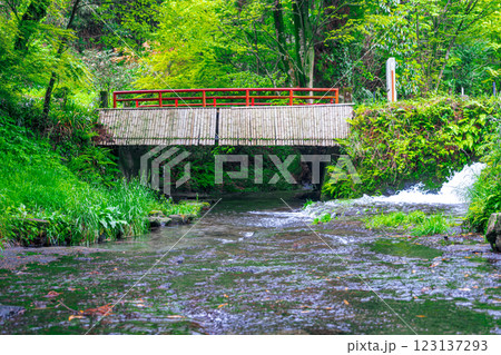 【#熊本】白川水源 123137293