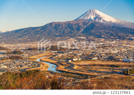 【静岡県】三島市の街並みと富士山　早朝 123137661