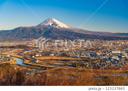 【静岡県】三島市の街並みと富士山　早朝 123137663