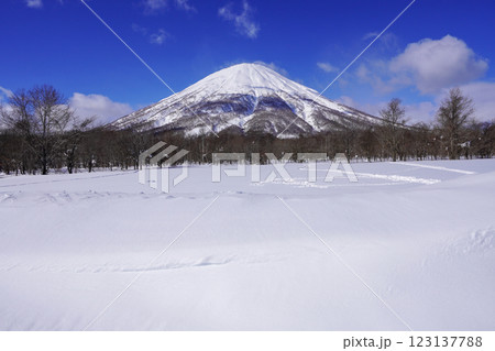 真狩村新陽駐車場から見る羊蹄山（2025年2月） 123137788