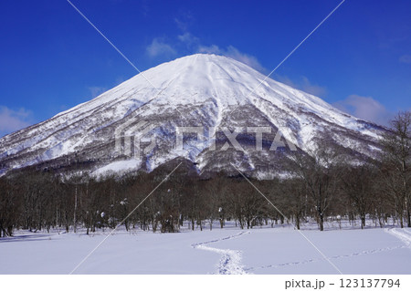 真狩村新陽駐車場から見る羊蹄山（2025年2月） 123137794
