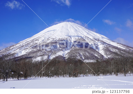 真狩村新陽駐車場から見る羊蹄山（2025年2月） 123137798