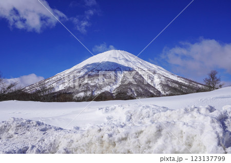 真狩村新陽駐車場から見る羊蹄山（2025年2月） 123137799