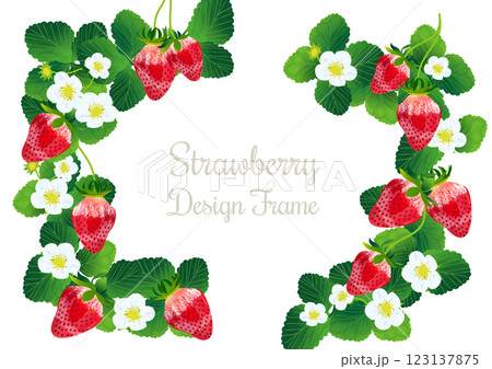 春らしい苺のイラストのフレーム素材。 123137875