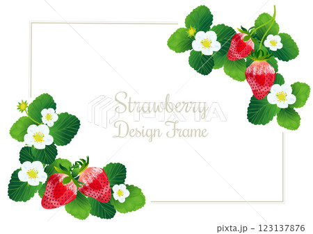 春らしい苺のイラストのフレーム素材。 春らしい苺のイラストのフレーム素材。 123137876