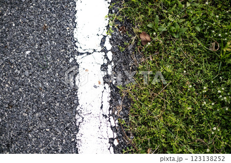 The green grass and street are divided in a balanced way. 123138252