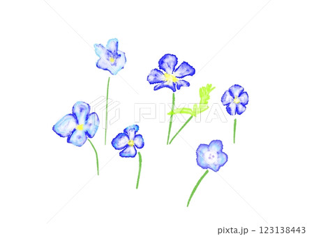 水彩で描いた青い花のイラスト 水彩で描いた青い花のイラスト 123138443