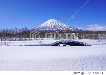 京極町、更進地区から見る羊蹄山（2025年2月） 123138511