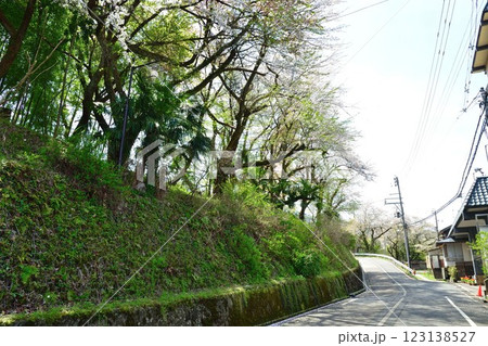 咲花温泉街の桜（新潟県） 123138527