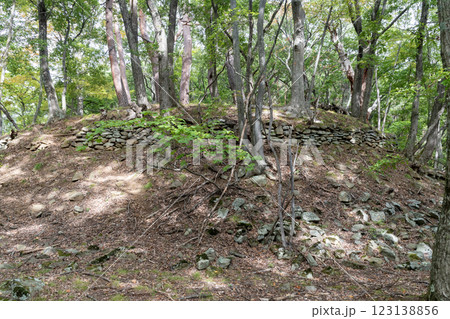 桐原城跡 主郭の土塁と石垣 桐原城跡 主郭の土塁と石垣 123138856