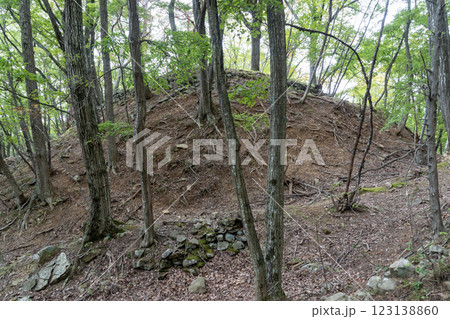 桐原城跡 主郭土塁と石垣 桐原城跡 主郭土塁と石垣 123138860
