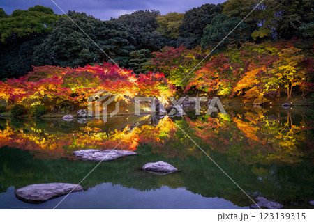 【高松市】栗林公園　秋のライトアップ【紅葉】 123139315
