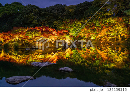 【高松市】栗林公園　秋のライトアップ【紅葉】 123139316