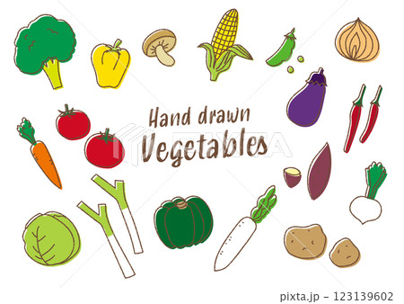 チョーク風の手描き野菜ベクターイラスト 123139602