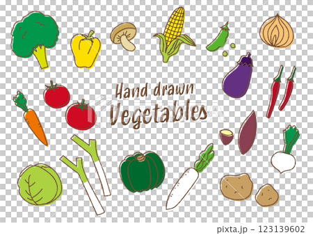 チョーク風の手描き野菜ベクターイラスト 123139602