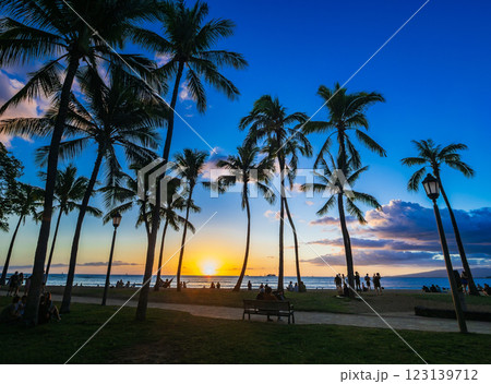 ハワイ　夕暮れのワイキキビーチ 123139712