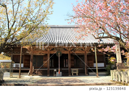 桜本坊と桜 123139848