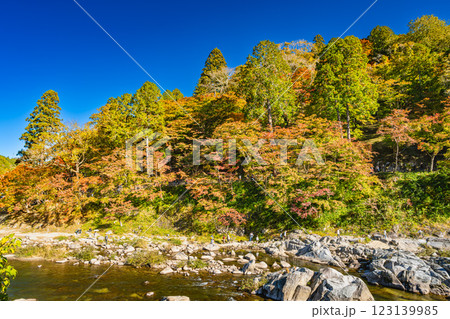 秋の紅葉に包まれた豊田市の香嵐渓の風景(愛知県) 秋の紅葉に包まれた豊田市の香嵐渓の風景(愛知県) 123139985