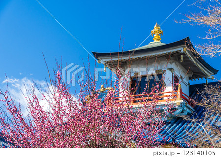 八王子市　春の信松院 123140105