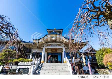 八王子市　春の信松院 123140106