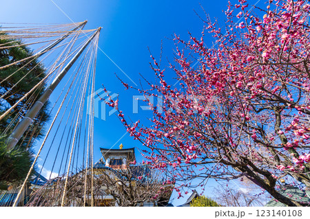 八王子市 春の信松院 八王子市 春の信松院 123140108