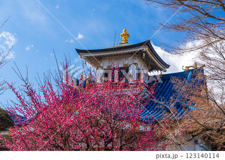 八王子市 春の信松院 八王子市 春の信松院 123140114
