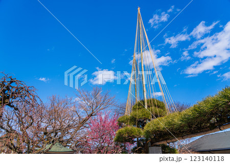 八王子市 春の信松院 八王子市 春の信松院 123140118