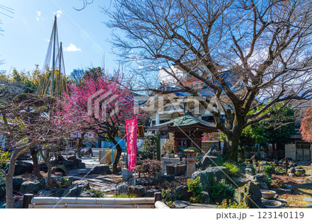 八王子市 春の信松院 八王子市 春の信松院 123140119